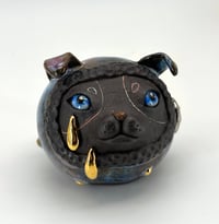 Image 4 of Weeping Pup 