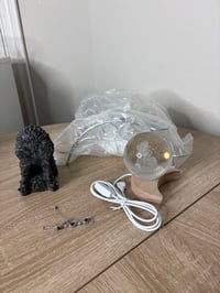 Ichigobabe LIVE SALE BASKET