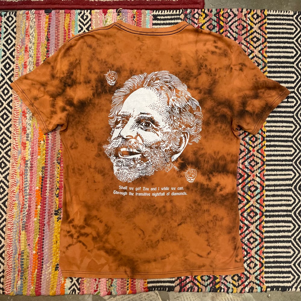 Shall We Go?- Bleached II