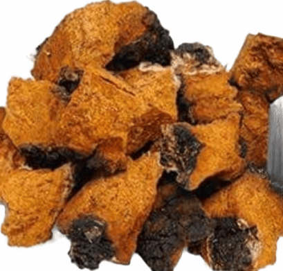 RUB OILS: BONE-ACTIV. CHAGA MUSHROOM. KID-E-CARE. INFLAM-EEZ. PAINEEZ. 