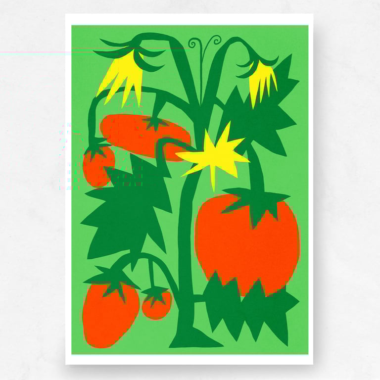 Tomato plant with yellow flowers