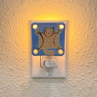 Image 1 of flying squirrel