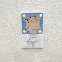 Image 2 of flying squirrel