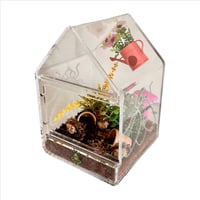 Image 3 of Frida’s Garden