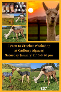 Image 1 of Learn to crochet at Cadbury Alpacas Saturday March 28th 3-5.30 pm 