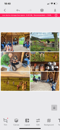 Image 14 of Learn to crochet at Cadbury Alpacas Saturday March 28th 3-5.30 pm 