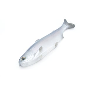 Image of Tyrant 8 ( FANATIC )