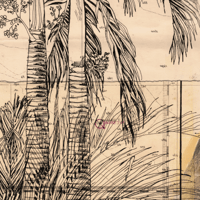 Image 3 of Tirage sur Canvas - "Tutuba"