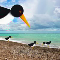 Image 11 of Oystercatcher Brooch or Necklace