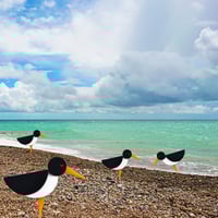 Image 10 of Oystercatcher Brooch or Necklace