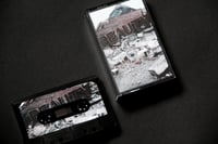 Stable - A Moment Of Beauty Is Yours For A Lifetime