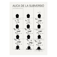 Auca de la subversió