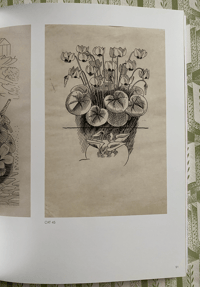 Image 3 of Evelyn Dunbar The Lost Works