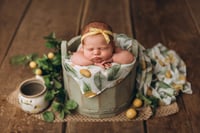 Image 11 of Antik Wood Bucket in different colors