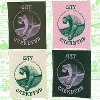 Image 1 of GAY CAERDYDD BACK PATCH