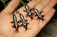 Image 2 of Skunk charm