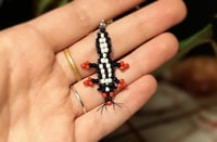 Image 1 of Skunk charm