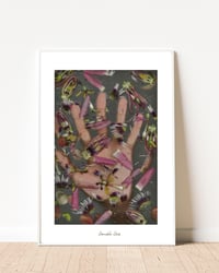 Image 1 of Passion Fruit Flower I 