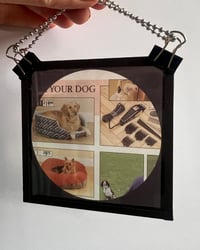 Image 1 of Argos1993_pg24 - Magic Lantern slide