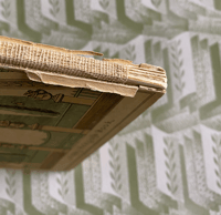 Image 5 of Tulipomania 