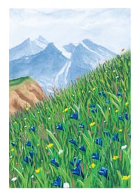 Image 1 of Alpine flowers