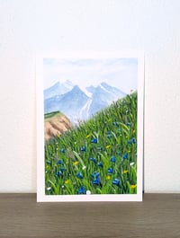 Image 3 of Alpine flowers