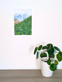 Image 2 of Alpine flowers