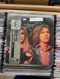 Renaissance Ashes Are Burning 