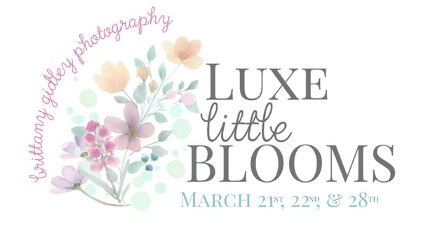 Image of Deposit - Luxe Little Blooms Petite Session ($1199)