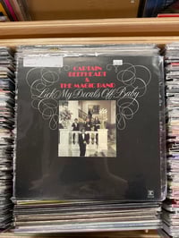 Captain Beefheart Lick My Decals Off Baby 