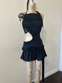 Image 1 of Devonshirerex mini