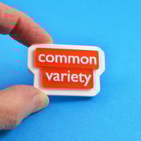 Image 2 of Random Phrase Brooches Group 22