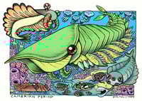 Image 1 of Cambrian Period Hurdia Print