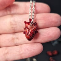 Image 2 of MINI CARVED ANATOMICAL HEART