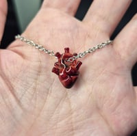 Image 5 of MINI CARVED ANATOMICAL HEART