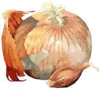 Image 1 of Yellow Onion Sticker