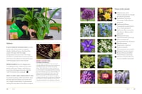 Image 3 of RHS The Garden Almanac 2027: The month-by-month guide to your best ever gardening year