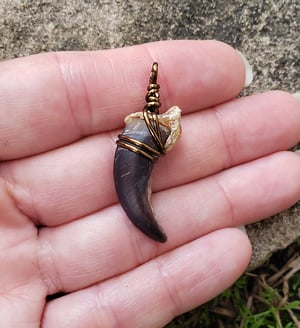 Image of Wolf Claw Necklace