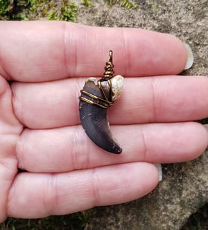 Image of Wolf Claw Necklace