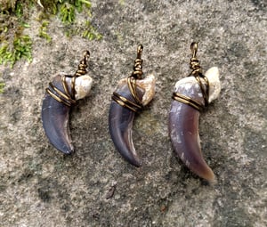 Image of Wolf Claw Necklace