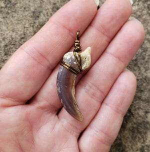 Image of Wolf Claw Necklace