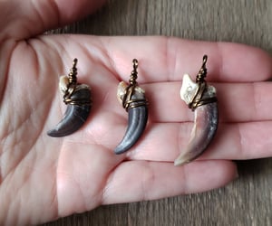 Image of Wolf Claw Necklace