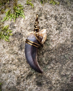 Image of Wolf Claw Necklace