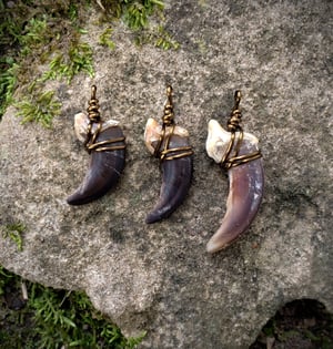 Image of Wolf Claw Necklace