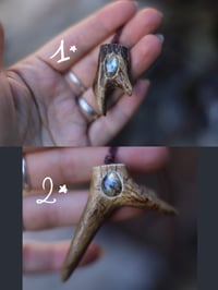 Image 2 of Collana punta di corno -Capriolo e labradorite- 🌿