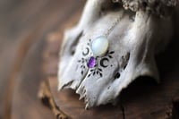 Image 2 of Teschio di Capriolo - adularia e ametista- 