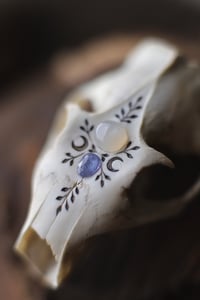 Image 4 of Teschio di Marmotta - adularia e tanzanite- 