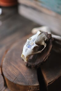 Image 3 of Teschio di Marmotta - adularia e tanzanite- 