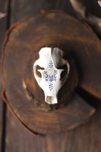 Image 1 of Teschio di Marmotta - adularia e tanzanite- 