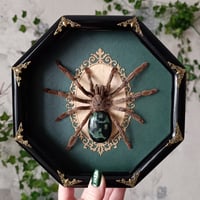 Trinidad Chevron with Agate Stone